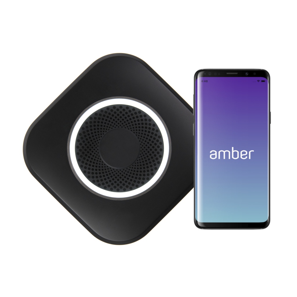 Amber Plus (2TB*2)